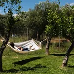 Dimitras Home