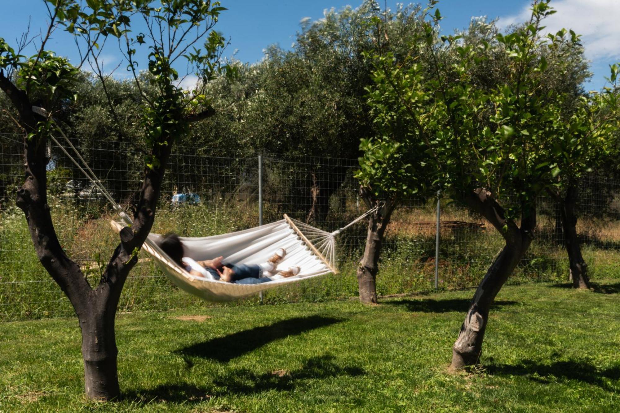 Dimitras * Lefkimmi (Corfu)