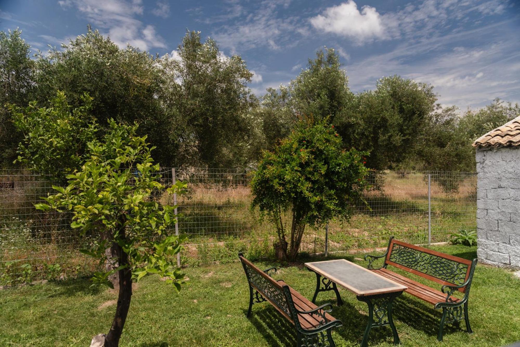 Dimitras