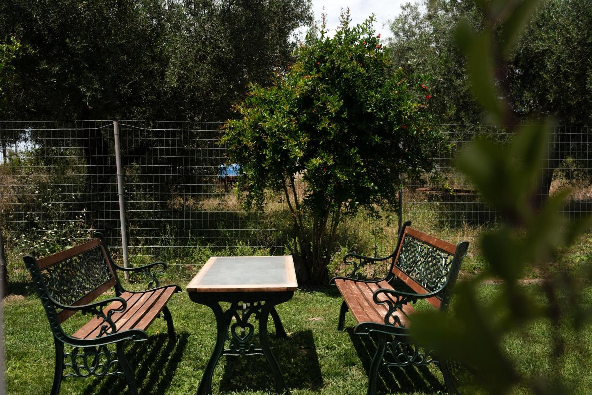 Dimitras * Lefkimmi (Corfu)